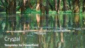 Presentation with flooding - Amazing slides having flood-in-the-forest-river backdrop and a tawny brown colored foreground