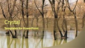  Presentation with flood - PPT theme having flood in wood background and a tawny brown colored foreground
