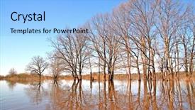  Presentation with flood - Slides having flood in wood background and a light blue colored foreground