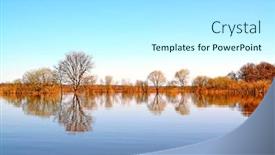  Presentation with flood - Audience pleasing theme consisting of flood in wood backdrop and a arctic colored foreground