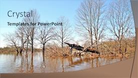  Presentation with flood - Slides featuring flood-in-wood and a light blue colored foreground