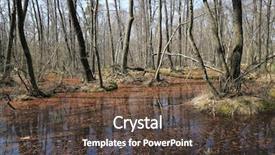  Presentation with flood - Amazing PPT theme having flood on bog in spring backdrop and a tawny brown colored foreground