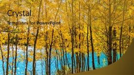  Presentation with abraham - Theme consisting of flooded coastal gold aspen background and a gold colored foreground