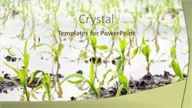  Presentation with states - Presentation design with flooded-cornfield-in-the-midwestern background and a soft green colored foreground