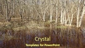  Presentation with ukraine - Slide deck featuring flooded-trees-on-meadow background and a tawny brown colored foreground