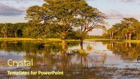 Presentation with tropical - Presentation design featuring flooded-tropical-landscapes-at-sunset background and a tawny brown colored foreground