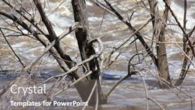  Presentation with 2022 - Presentation theme having floodwaters-colleges-crossing background and a  colored foreground