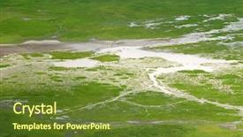  Presentation with animals zoo - Amazing theme having floor of ngorongoro crater conservation backdrop and a tawny brown colored foreground