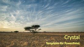  Presentation with flora fauna - Amazing slides having flora fauna - acacia tree on a stark backdrop and a tawny brown colored foreground