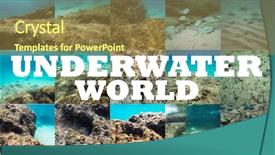  Presentation with tuna fish underwater in ocean - Presentation enhanced with flora fauna - beautiful underwater sea ocean landscape background and a coral colored foreground