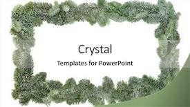  Presentation with winter border - PPT theme consisting of flora fauna - snow covered spruce pine fir background and a cream colored foreground