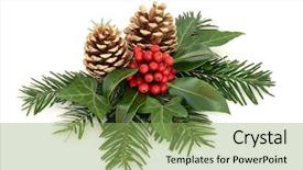  Presentation with flora fauna - Amazing PPT layouts having flora fauna - winter with holly and red backdrop and a yellow colored foreground