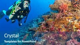  Presentation with activity graph showing an earthquake - PPT theme featuring flora fauna - young woman scuba diver exploring background and a ocean colored foreground
