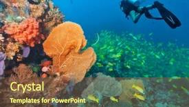  Presentation with coral reef - Cool new presentation theme with flora fauna - young woman scuba diver exploring backdrop and a tawny brown colored foreground