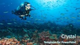  Presentation with reef octopus underwater - Slides with flora fauna - young woman scuba diver exploring background and a ocean colored foreground