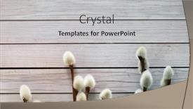  Presentation with plants - Audience pleasing PPT layouts consisting of flora-plants-and-easter-concept backdrop and a light gray colored foreground