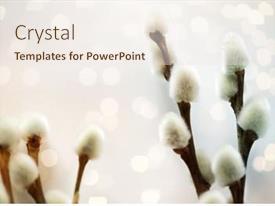 Christian Palm Sunday Flora Plants And Easter Concept PPT template 22 ...