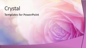  Presentation with floral abstract - Beautiful presentation theme featuring floral abstract - beautiful flowers made with color backdrop and a cream colored foreground