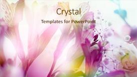  Presentation with floral abstract - Slides with floral abstract - beautiful flowers made with color background and a cream colored foreground