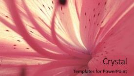  Presentation with flowers - Slide deck consisting of floral abstract - flowers background background and a red colored foreground