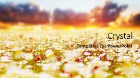  Presentation with floral abstract - PPT layouts having floral abstract - spring field of white fresh background and a yellow colored foreground