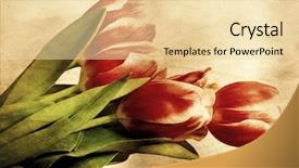  Presentation with vintage floral - Presentation theme having floral abstract - vintage tulips background and a blonde colored foreground