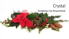  Presentation with cedar - Presentation design having floral arrangement of a poinsettia background and a white colored foreground
