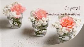  Presentation with pink roses - Slide set having floral-arrangement-of-pink-roses background and a lemonade colored foreground