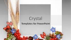  Presentation with nature design - Theme with floral-autumn-fall-thanksgiving-day and a light gray colored foreground