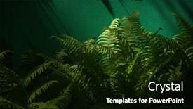  Presentation with fern - Presentation theme consisting of floral-background-beautiful-fern-leaves background and a black colored foreground