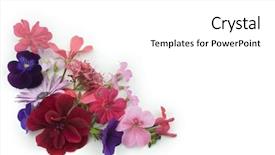  Presentation with element - Colorful presentation design enhanced with floral background corner design element backdrop and a white colored foreground