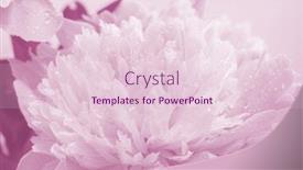  Presentation with marriage card - Presentation design consisting of floral background for greeting card background and a lemonade colored foreground