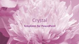  Presentation with marriage card - Colorful presentation design enhanced with floral background for greeting card wedding invitation marriage background shallow depth of field selective focus backdrop and a lemonade colored foreground