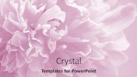  Presentation with marriage card - Slide deck with floral background for greeting card wedding invitation marriage background shallow depth of field selective focus background and a lemonade colored foreground