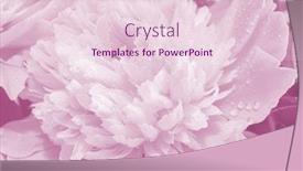  Presentation with marriage card - Slide set featuring floral background for greeting card background and a lemonade colored foreground