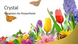  Presentation with butterfly - Presentation design having flower corner - floral background with butterfly background and a white colored foreground