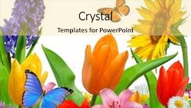  Presentation with floral - Theme featuring bouquet lilies - floral background with butterfly background and a yellow colored foreground