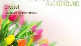  Presentation with floral - Slide deck having floral background background and a cream colored foreground