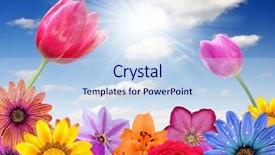  Presentation with floral - PPT theme featuring floral background background and a sky blue colored foreground