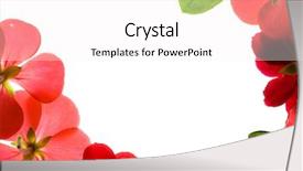  Presentation with floral border over white - PPT theme consisting of flower corner - floral border over white background background and a white colored foreground