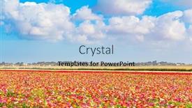  Presentation with gaza - Presentation theme featuring floral-carpet-israeli-kibbutz background and a light blue colored foreground