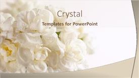  Presentation with floral - Theme enhanced with floral-composition-made-of-beautiful background and a lemonade colored foreground