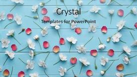  Presentation with red floral - Amazing slide set having pattern of white cherry blossom flowers and red rose petals floral decoration on a blue wooden background flat layout top view backdrop and a light blue colored foreground