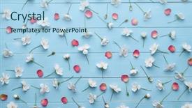  Presentation with blue rose - Cool new PPT layouts with pattern of white cherry blossom flowers and red rose petals floral decoration on a blue wooden background flat layout top view backdrop and a light blue colored foreground