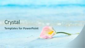  Presentation with watercolor summer floral - Presentation design with gradiant color - floral design element on summer background and a sky blue colored foreground