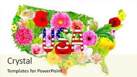  Presentation with floral - Audience pleasing PPT theme consisting of floral design of usa map backdrop and a blonde colored foreground