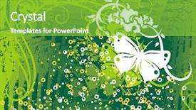  Presentation with grunge flower - Presentation enhanced with floral design with a butterfly background and a  colored foreground