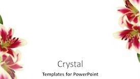  Presentation with frame pink - Cool new theme with floral frame made of pink backdrop and a white colored foreground