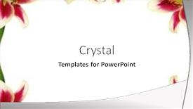  Presentation with frame pink - Cool new PPT layouts with floral-frame-made-of-pink backdrop and a white colored foreground