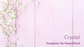  Presentation with vintage floral - Cool new theme with floral-frame-of-small-white backdrop and a sky blue colored foreground